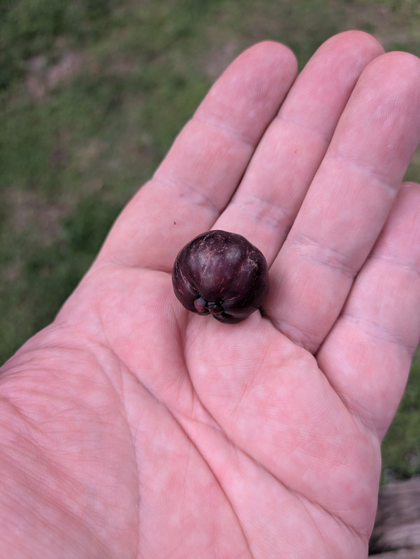 PXL_20251007_155252807