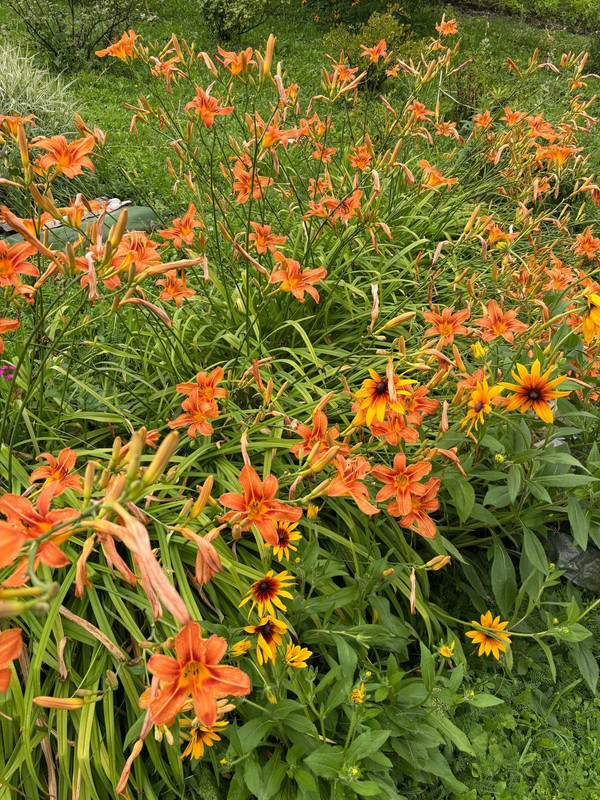 3gc xcg IDb Asc Q3RWvqu WEz U7o Whh2i0VU YHZqr UUmv Cq Pvvvou4e2b L p G99Pnpoa Gdbe V8jjh Bk Khj 8p6