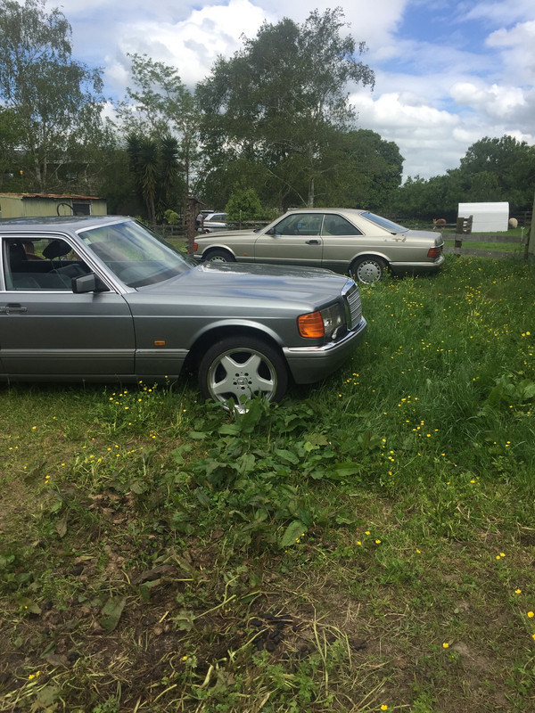 83CEC0A7-EFEA-447F-9041-7D8ED2E4E59C