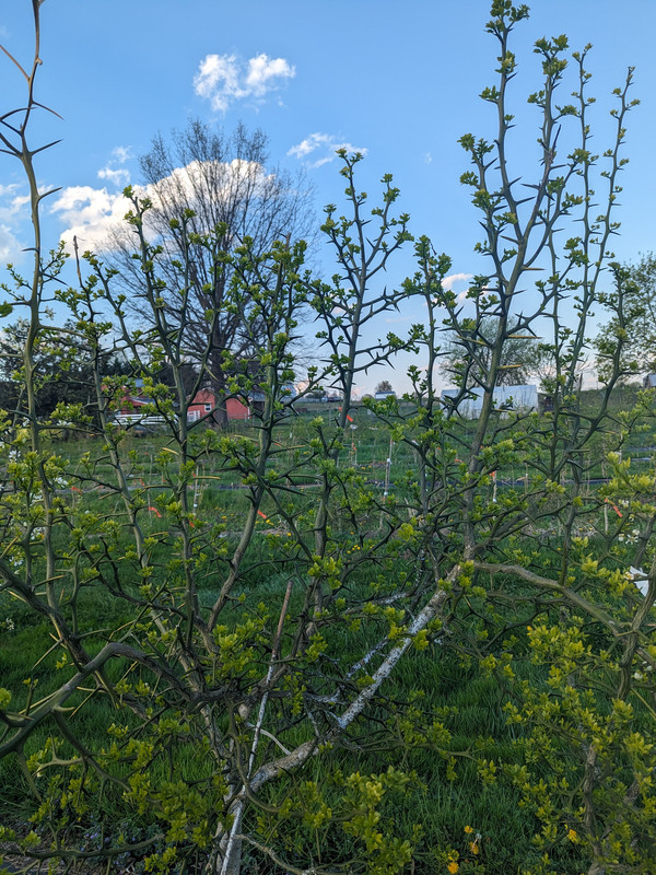 PXL_20240415_222108362