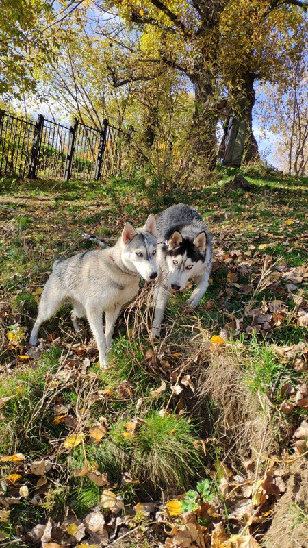 WhatsApp Image 2019-07-17 at 20.35.52(1)