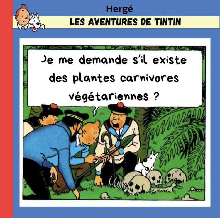 Les aventures de Tintin (détournement) - Page 2 2024-04-08-tintin-01