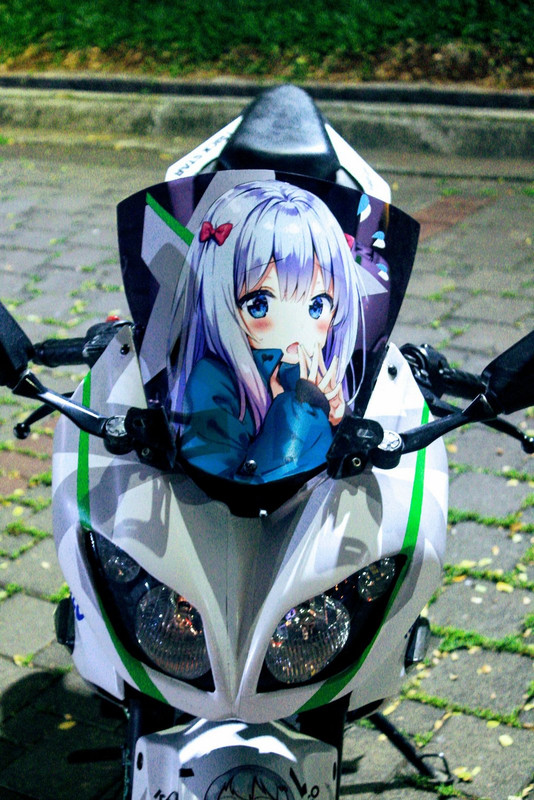 ninja2.jpg