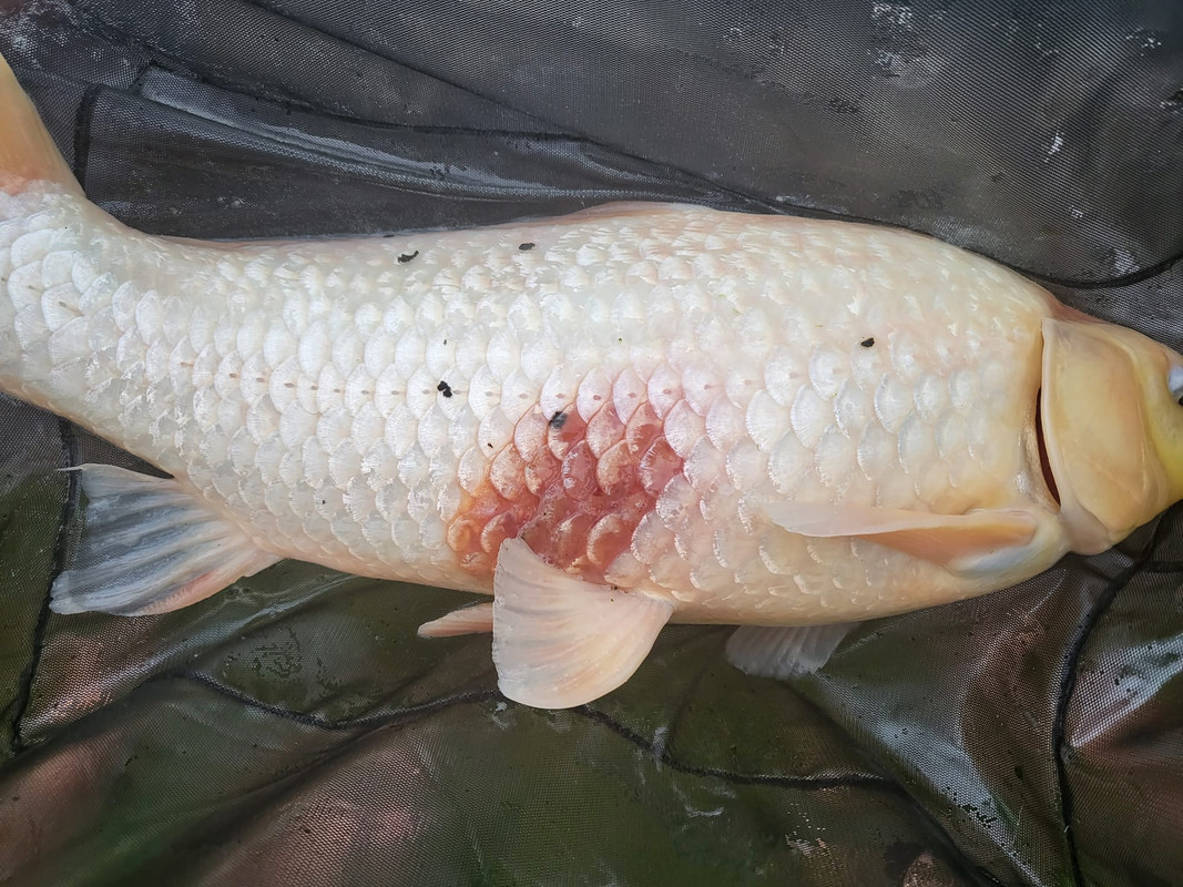 2FB7570B-7FFE-4646-ADBD-A43E7730F480