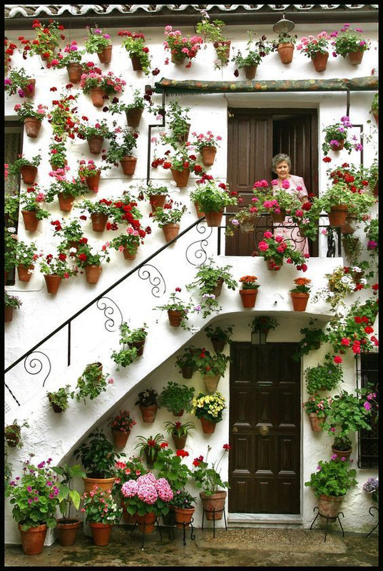 flowermultipots.jpg