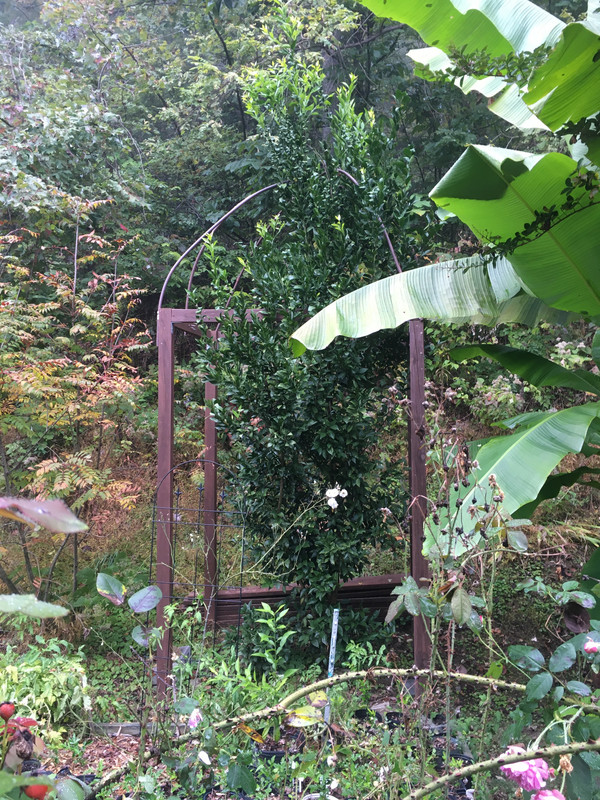 4440726E-E367-429A-9B91-60EE40857C4E