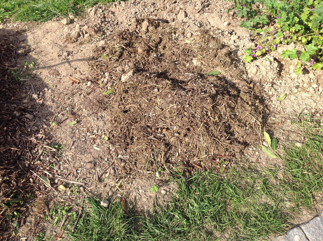 Kompostmiete Aus Drei mach Eins 3.Okt. 2015 (6)