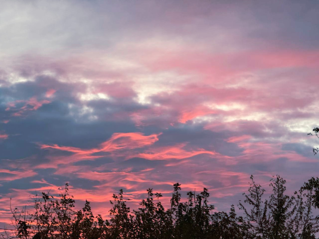 IMG-20251030-165232-292