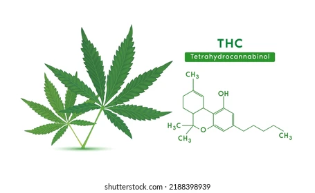 [Obrazek: image.png]