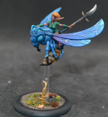 [Image: DSC_0456.jpg]