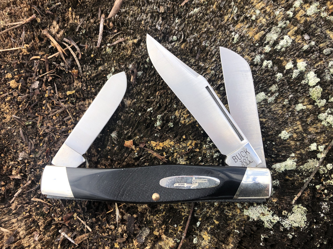 Buck-307-Wrangler.jpg