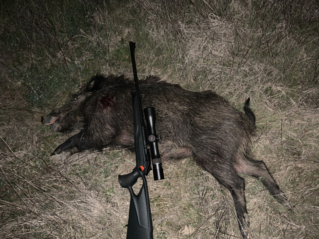 A873F3F2-5387-4AA7-9E97-F6FE362205DA