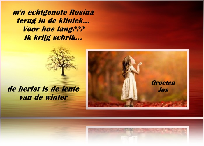 welkom opblog Bunic Jos