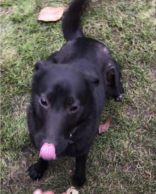 62221942-F8F8-4F30-8F2F-8C04118EF155