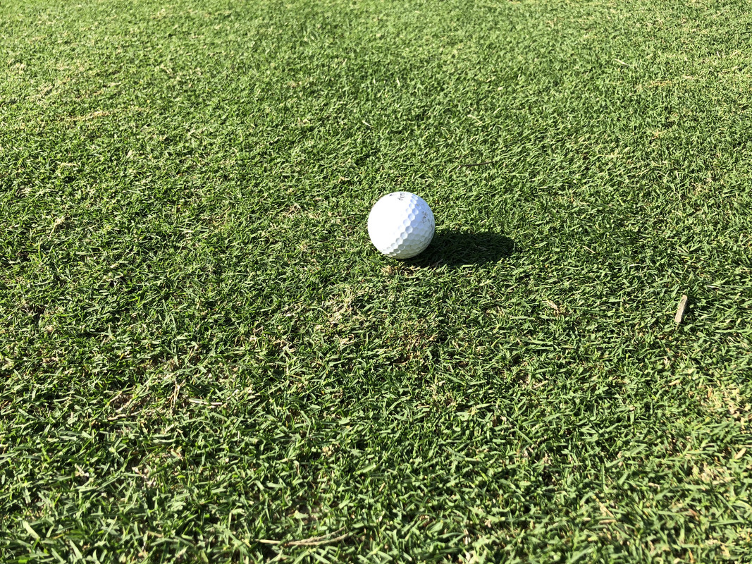 C3A41908-E772-41E1-8D9C-B777B84FC7D6