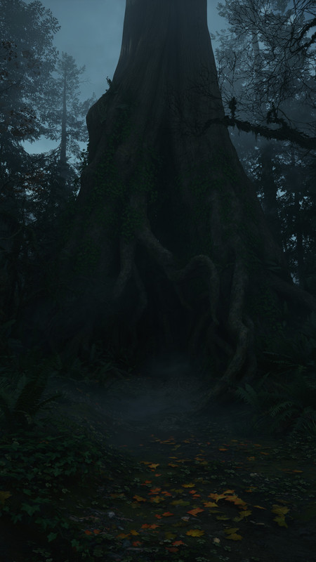 Alan Wake2 2026 06 06 16 27 20 065