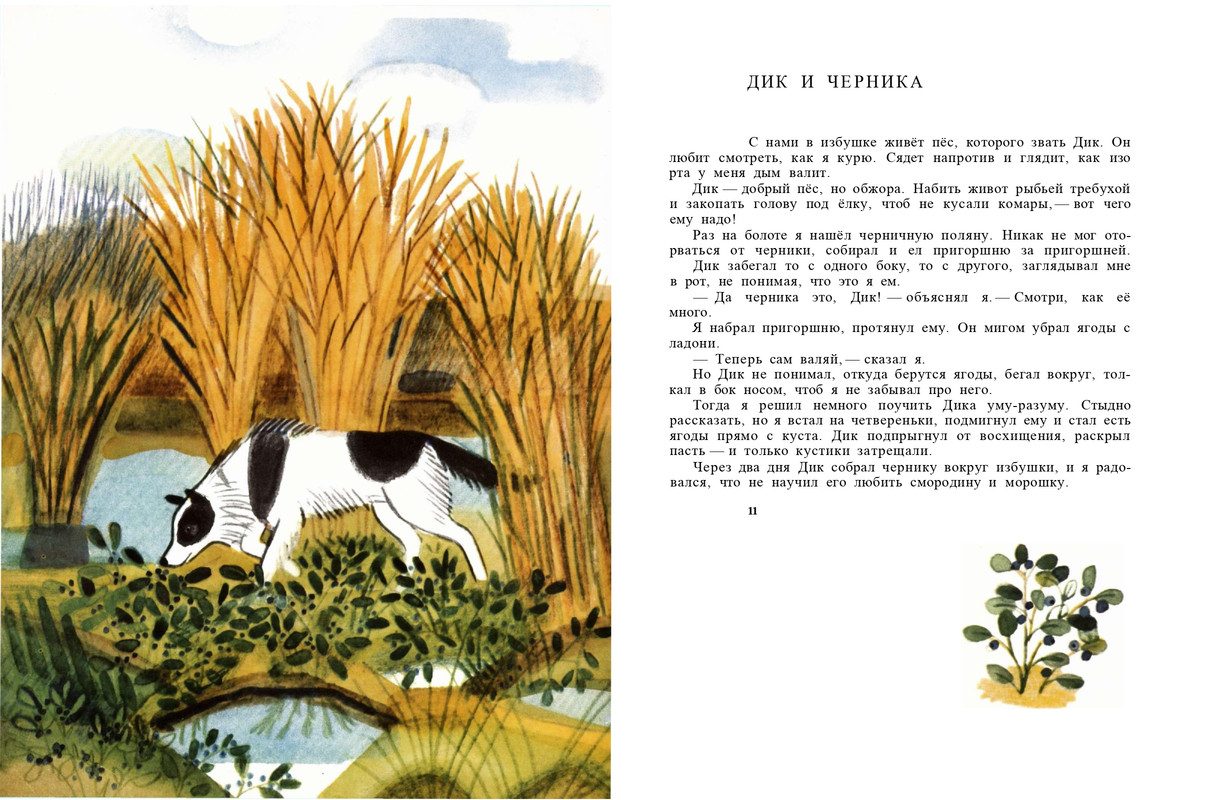 1991-page-0007
