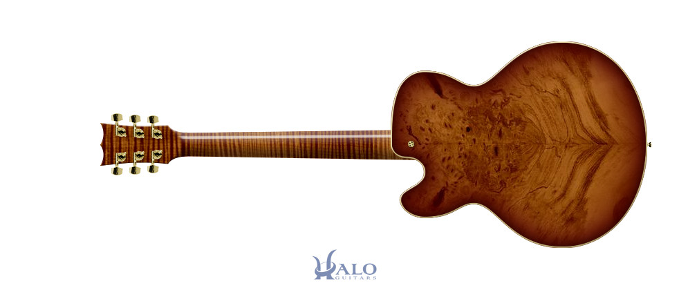 My-Halo-Custom-Guitar-1.jpg