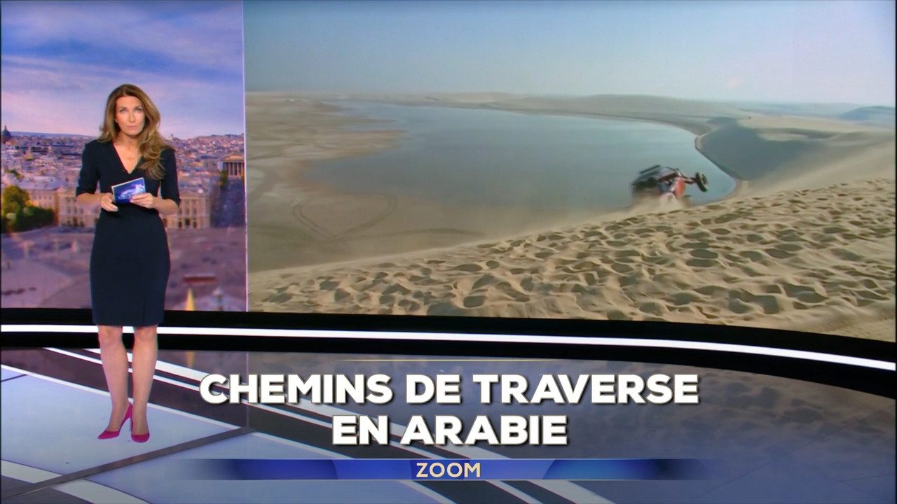 2022-11-20_13_00_TF1_Le-13h.mp4_snapshot_05.01.593