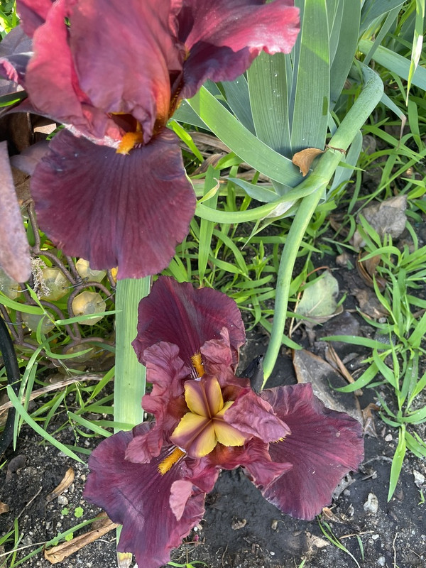 8832E06E-726D-4D4A-9E44-718EAD295719_1_105_c