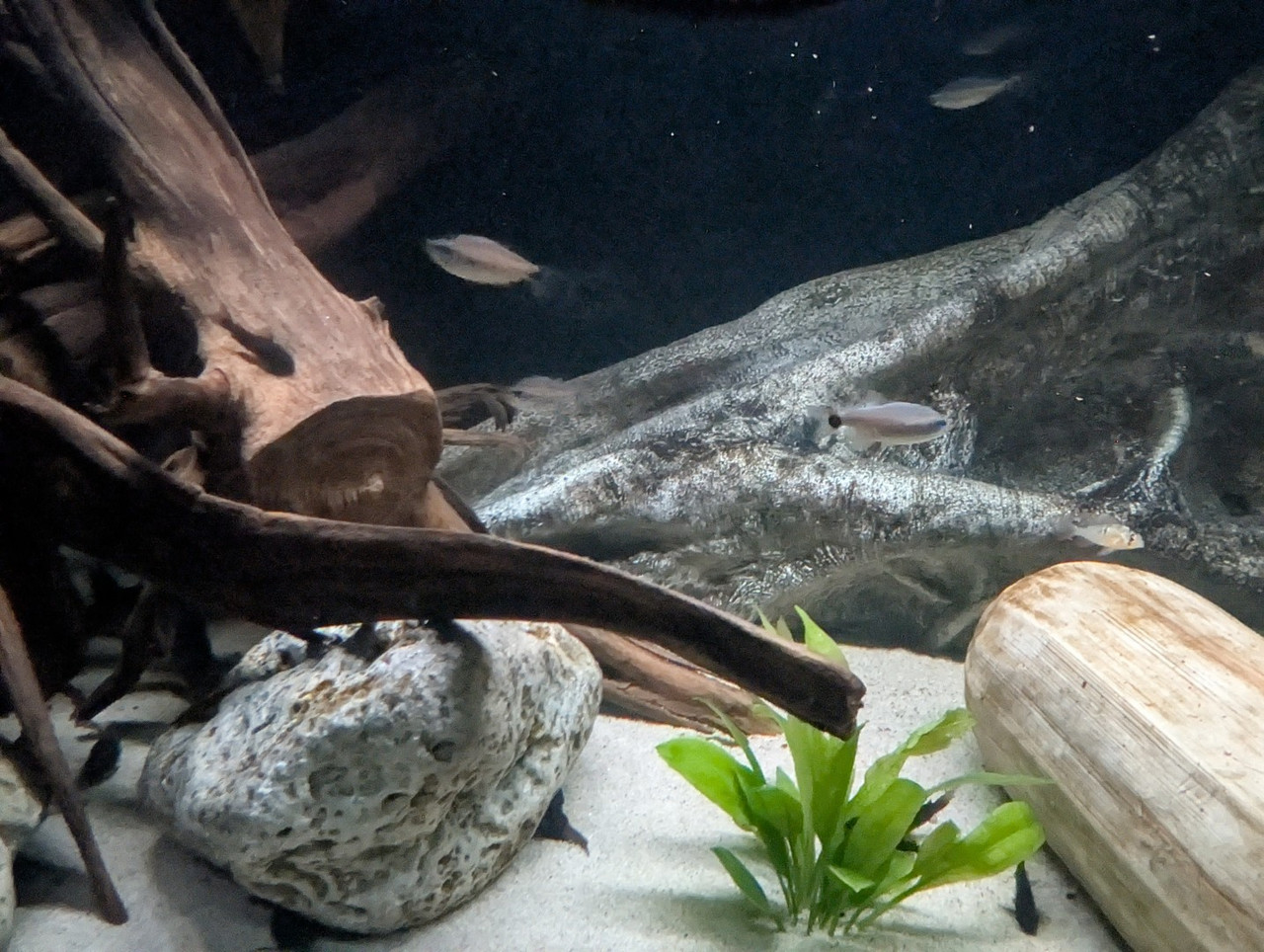 PXL 20251227 193912232 RAW 01 COVER