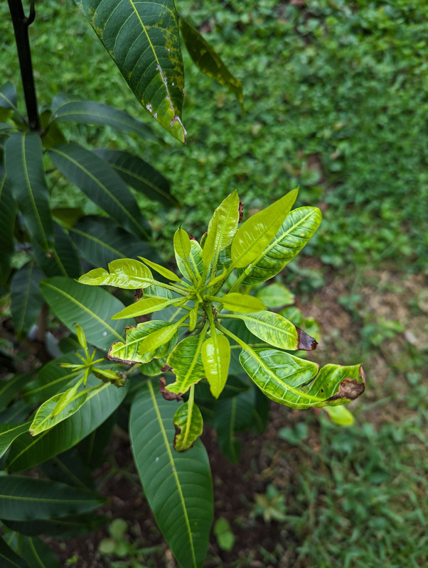 PXL_20230717_175924249