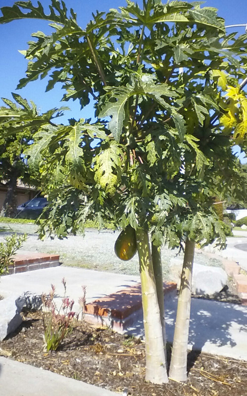 KINDLE_CAMERA_1401985280000