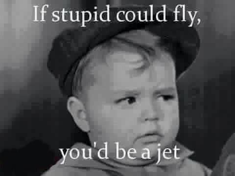 if_stupid_could_fly_you_d_be_a_jet.jpg