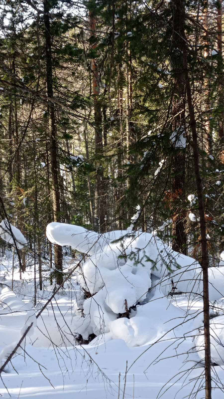 IMG-ad6962fd1054535c13927548c04d677f-V