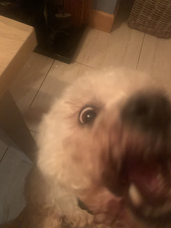 677C646C-5FCD-4DE7-B7FF-3748453F1199