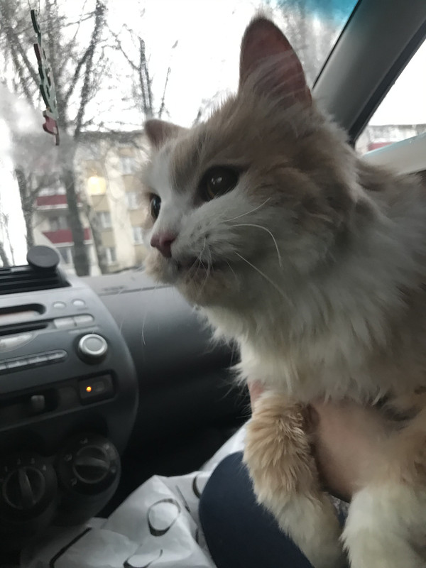 5395046A-E94B-4A98-92BB-D717138C7B3A