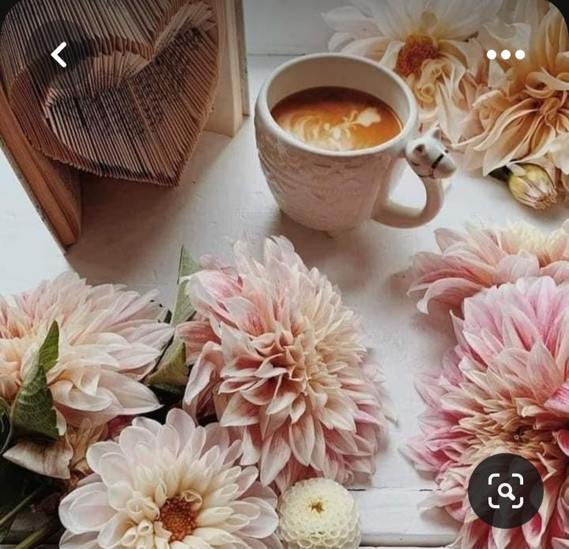Screenshot_20230713_154639_Pinterest