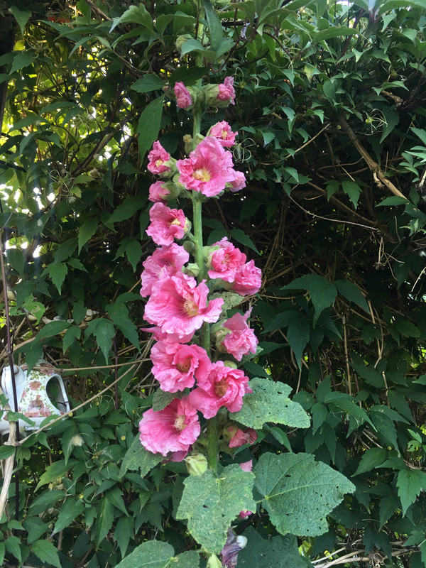 DDA75D15-9E1B-493B-8DF9-C9EAAF7F1425