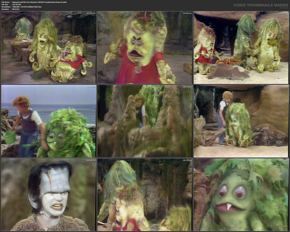 Sigmund and the Sea Monsters S01E03 Frankenstein Drops In.mkv
