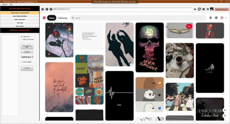 Ninja Pinner (Pinterest bot) 7.6.3.9