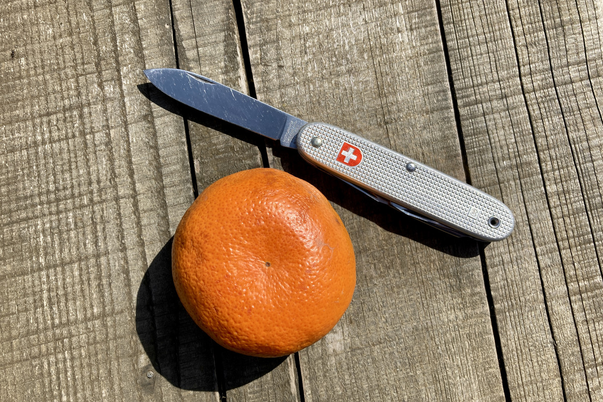 95714D04-01D7-4093-A154-F7BF10895451