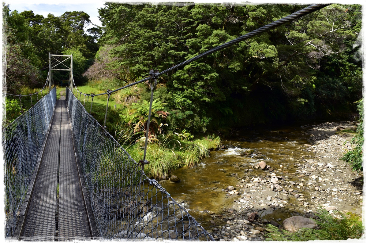 Escapadas y rutas por la Nueva Zelanda menos conocida - Blogs de Nueva Zelanda - Fiordland NP: Humpridge Track (febrero 2021) (10)