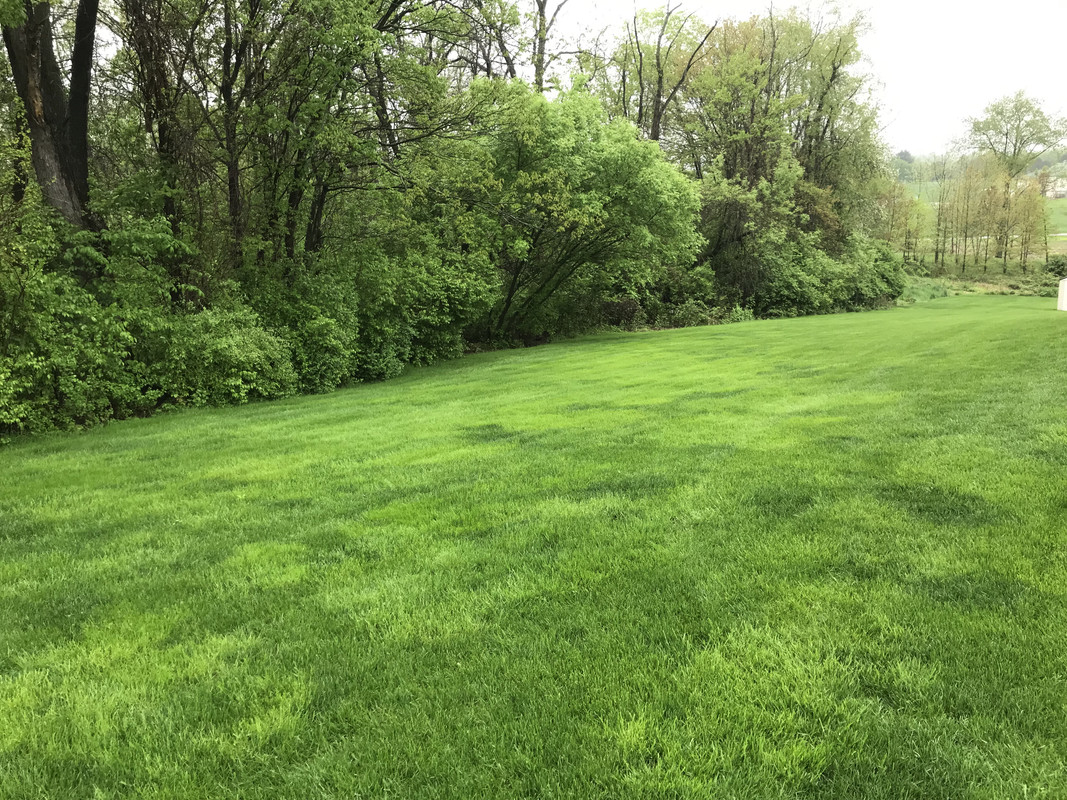 Photo May 05, 10 00 05 AM