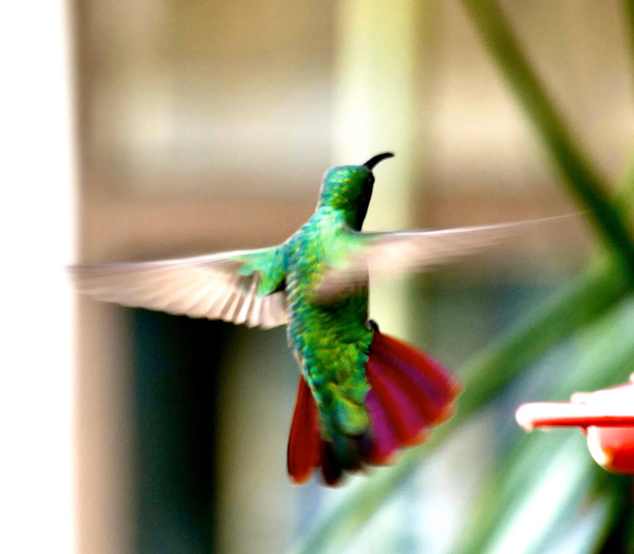 5B003654-756E-4CBB-86E6-095D9C1FB885