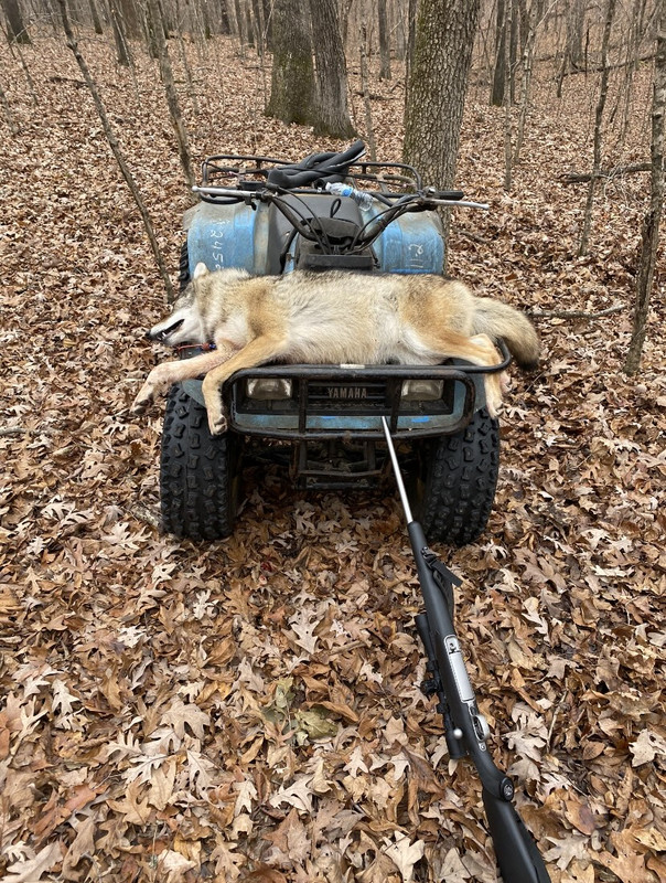 8C9BB253-619C-445C-9F5A-B67A9436C27C