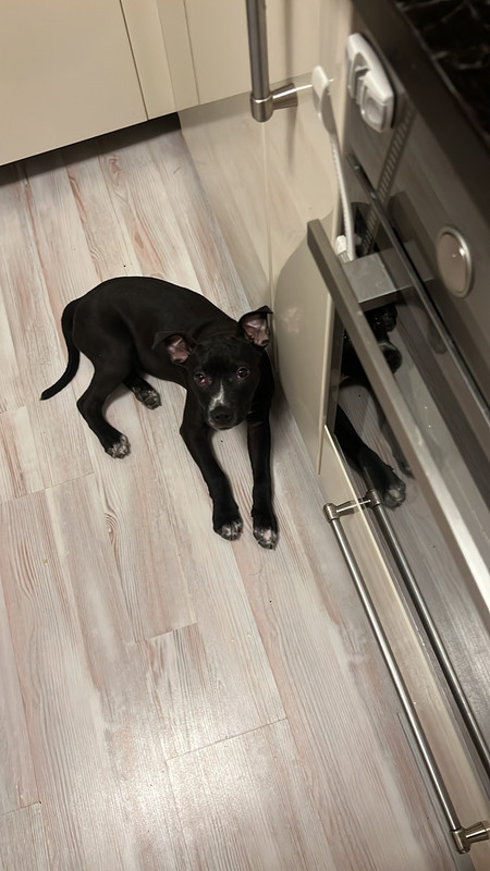 E874FF5F-9D2C-473B-B647-6577B5F5E3D2