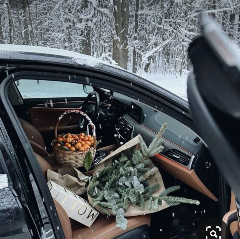 Screenshot_20231204_222654_Pinterest