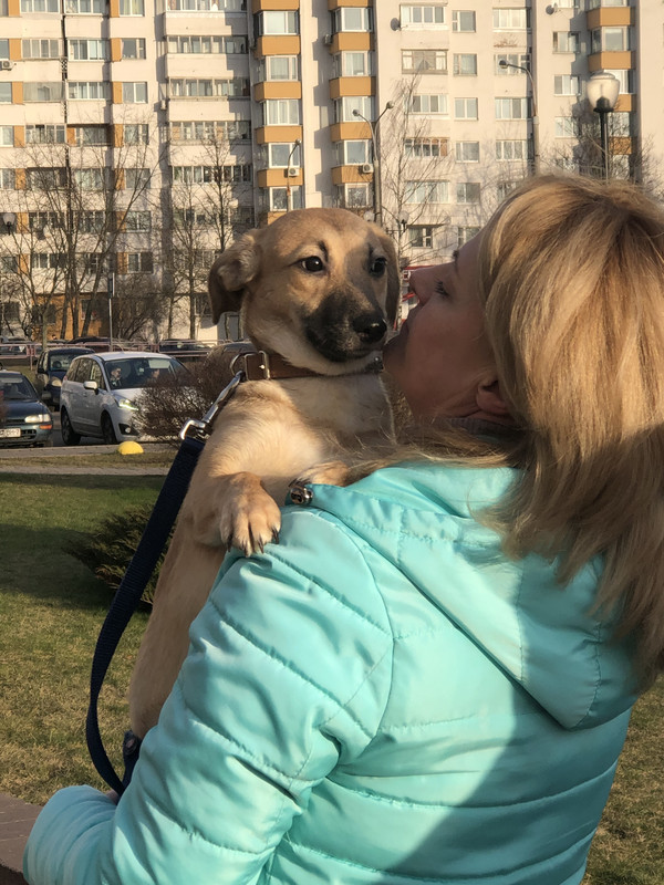 17A1578B-C1EA-4766-998C-5C11D8506C81