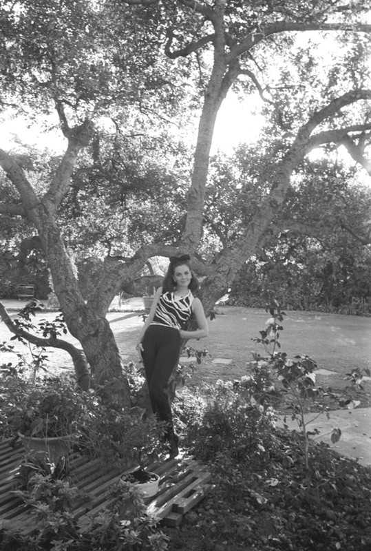 Natalie_Wood_me23