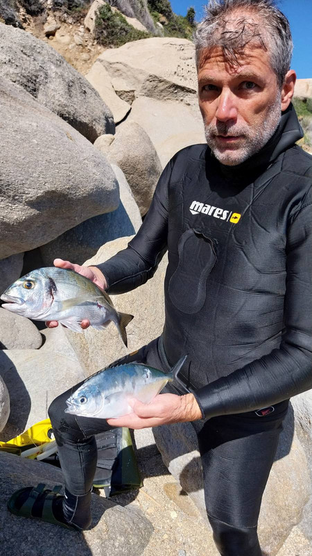 viber_image_2024-07-19_12-20-12-717