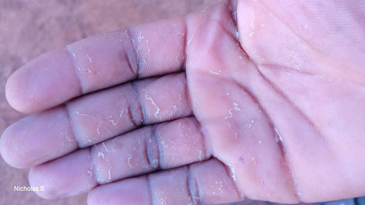 Chapter 1 Illustration