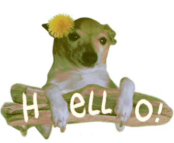 chloe-moshed-06-17-22-24-42-612.png