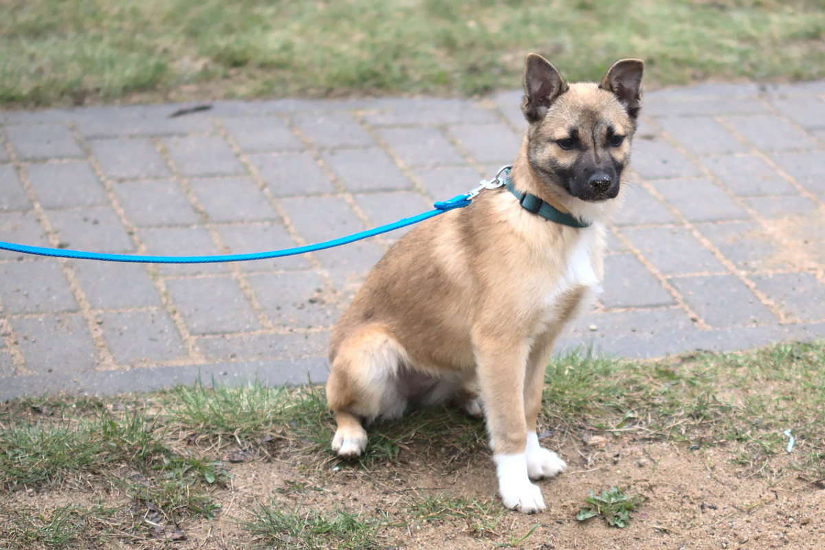 8EF4C969-0195-46AB-BB59-BECBB9D2B939