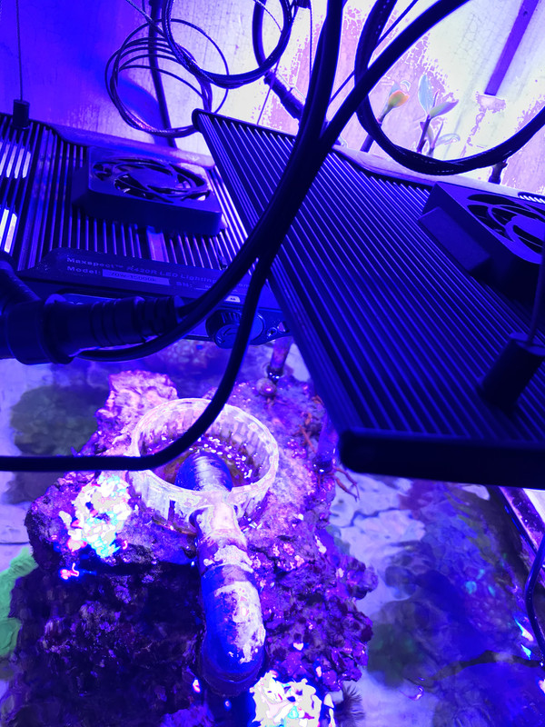 ACD62C21-A7F1-4C1B-8D8B-110C9D5CB7B6