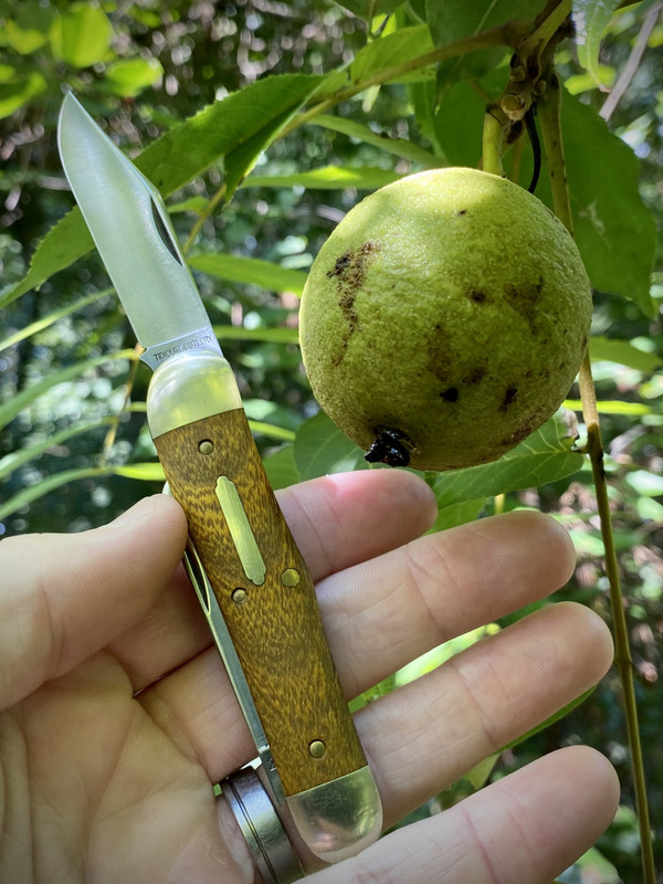 D4CB9DCB-7A77-4630-BD42-3446EEFD954D